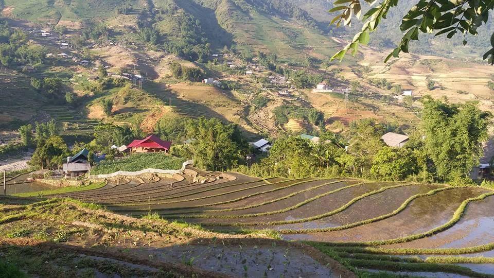 Ta Van Green Hills Homestay Sapa Exterior photo