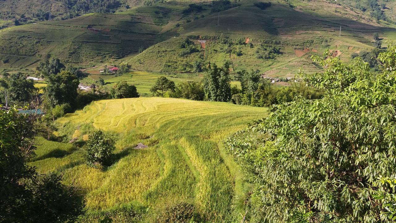 Ta Van Green Hills Homestay Sapa Exterior photo