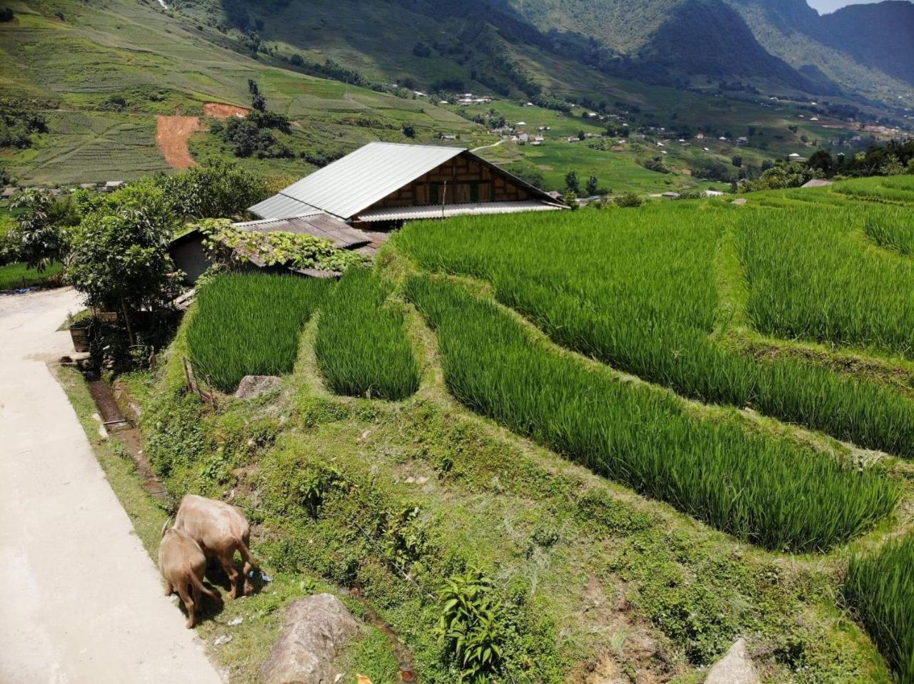 Ta Van Green Hills Homestay Sapa Exterior photo