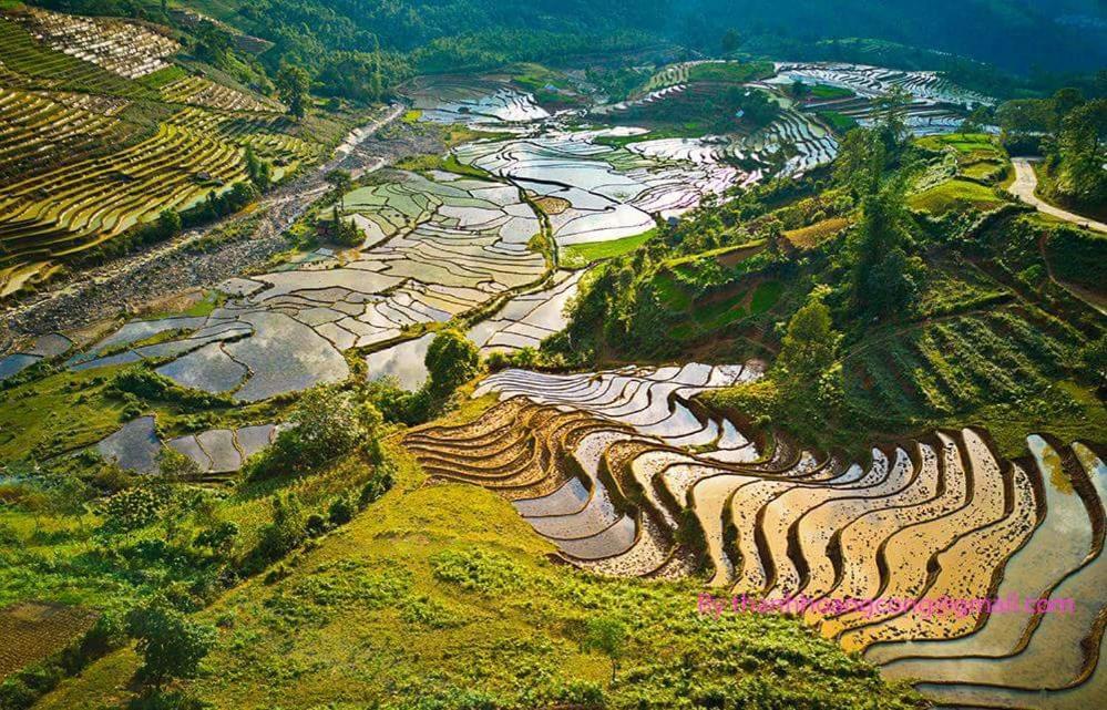 Ta Van Green Hills Homestay Sapa Exterior photo