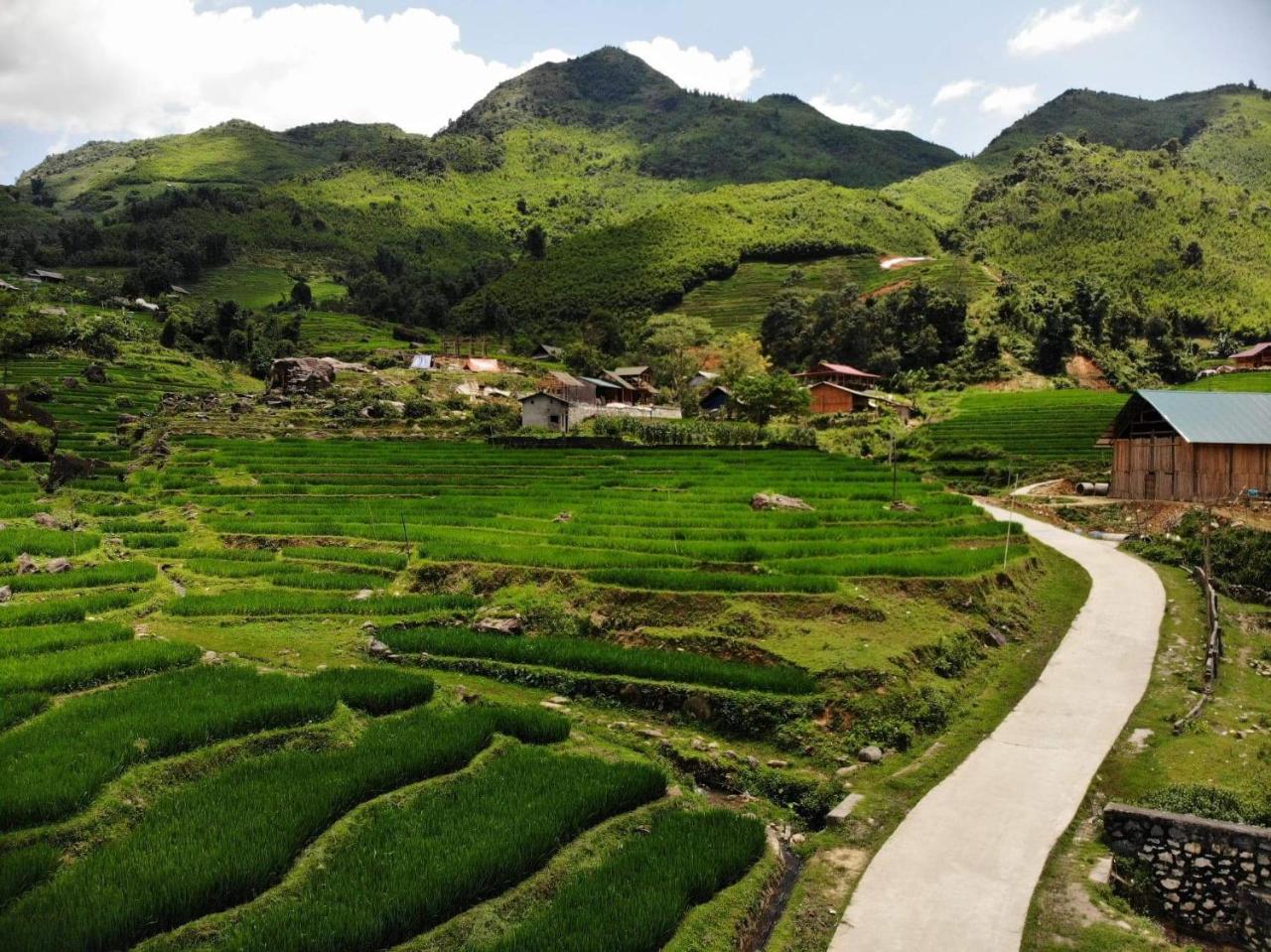 Ta Van Green Hills Homestay Sapa Exterior photo